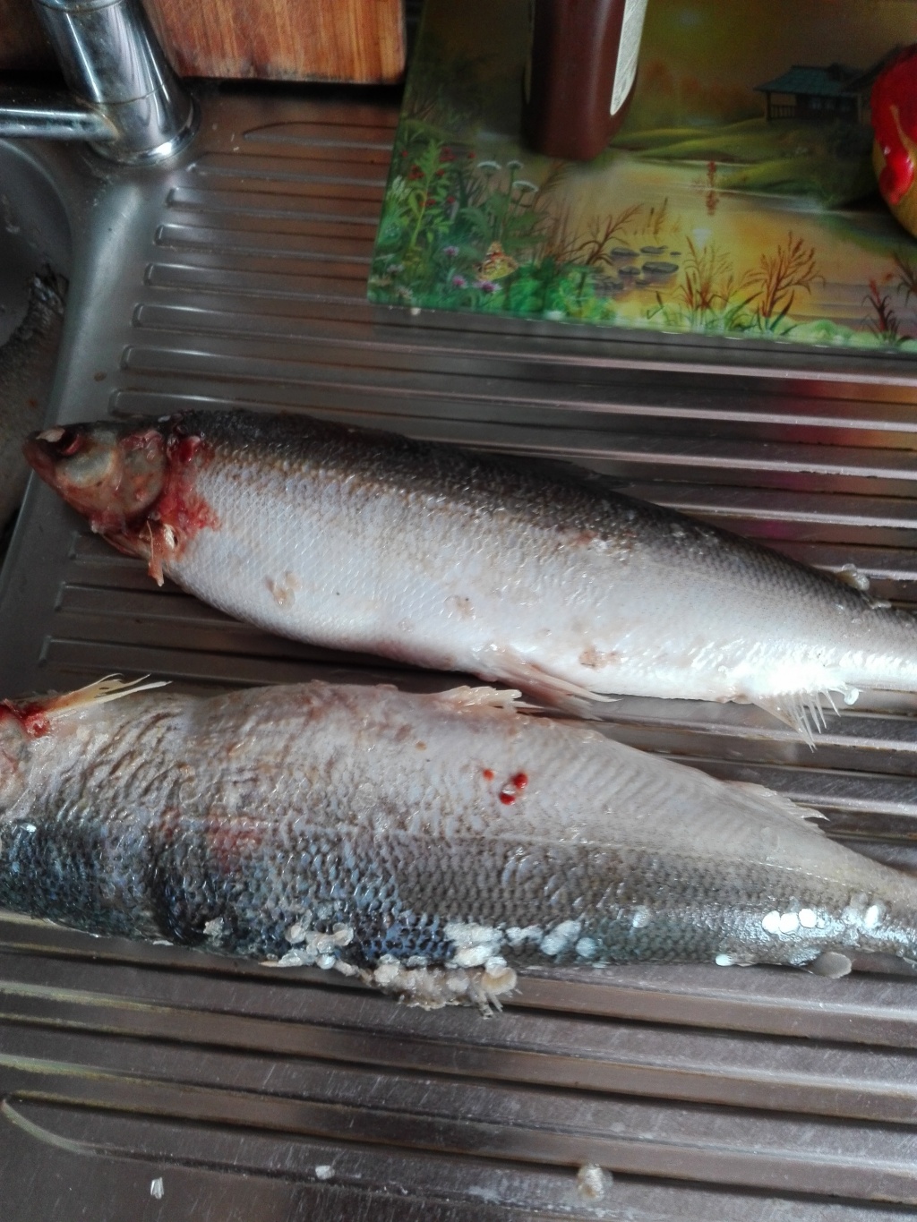 Марат из «Тарко-Сале» просит распознать рыбу по фото