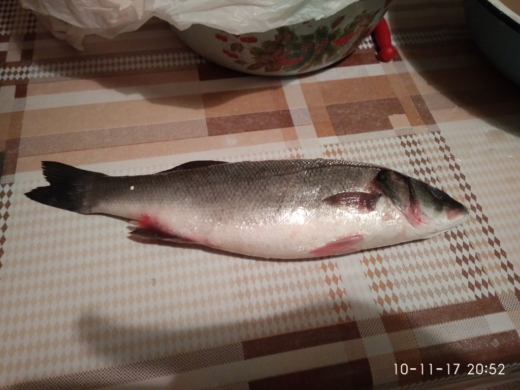 Ната из «Минск» просит распознать рыбу по фото