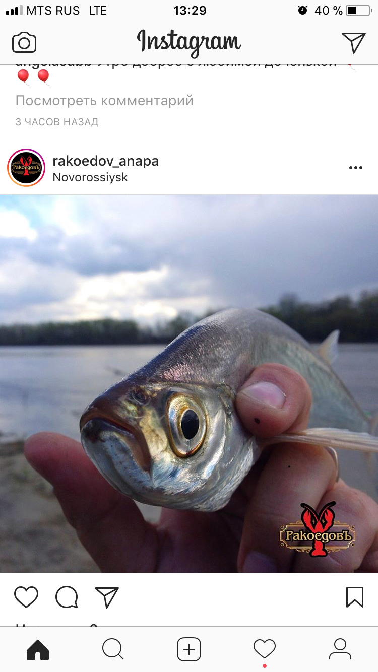 Юля из «Анапа» просит распознать рыбу по фото
