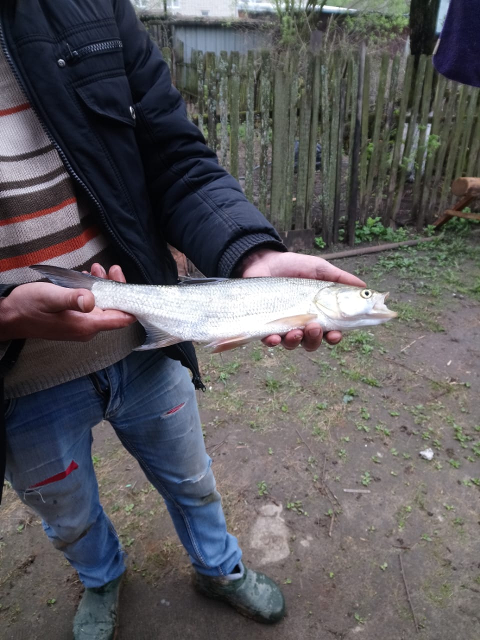 Максим из «Москва» просит распознать рыбу по фото