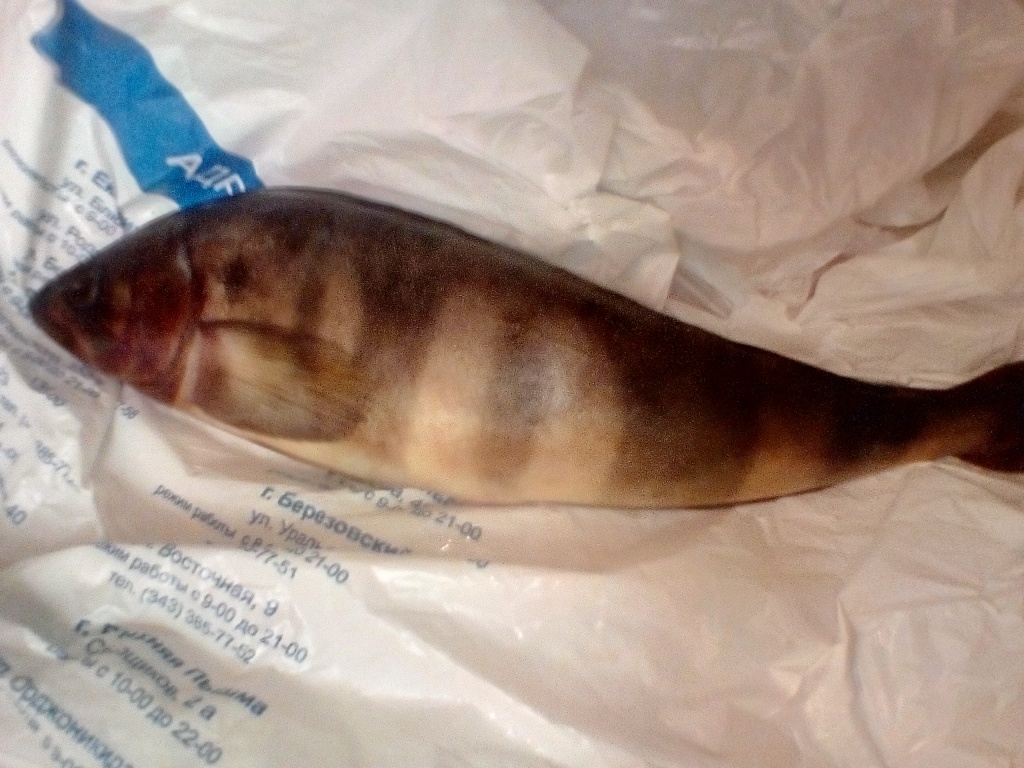 Лора из «Екатеринбург» просит распознать рыбу по фото