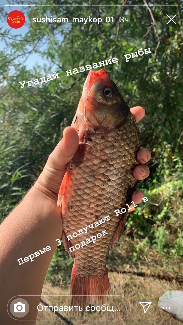 Заур из «Майкоп» просит распознать рыбу по фото