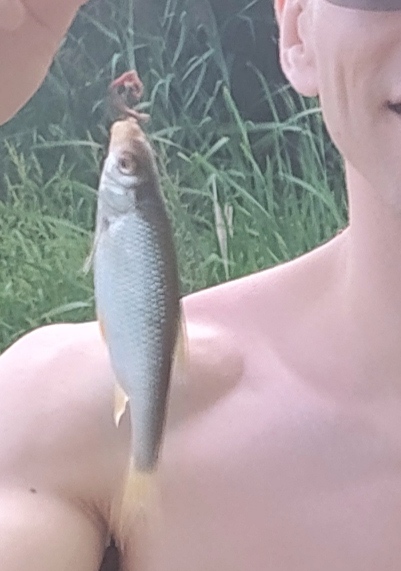 Сергей из «Тюмень» просит распознать рыбу по фото