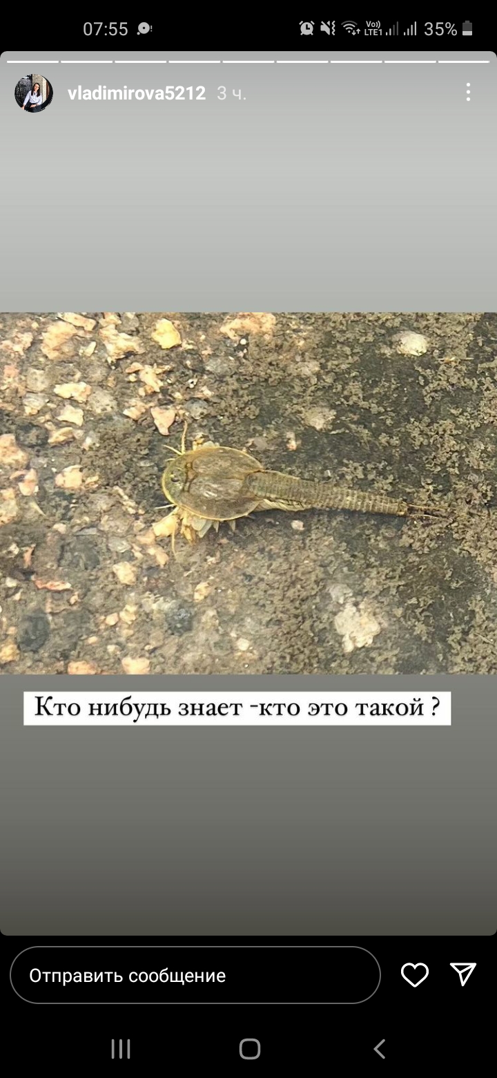 Анастасия из «Казахстан  город Кокшетау» просит распознать рыбу по фото