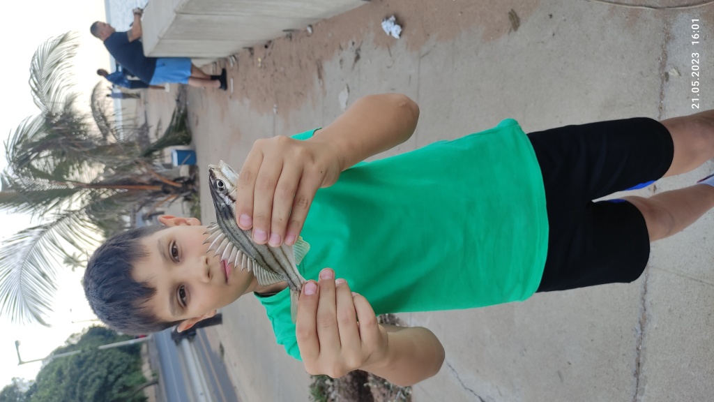 Илья из «Мапуту, Мозамбик» просит распознать рыбу по фото